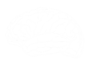 herapeutic ketogenic diet